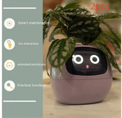 Smart Sensors And AI Chips Make Raising Plants