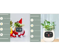 Smart Sensors And AI Chips Make Raising Plants