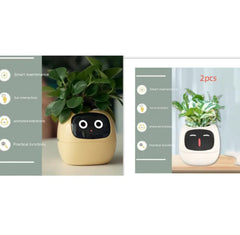 Smart Sensors And AI Chips Make Raising Plants