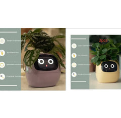 Smart Sensors And AI Chips Make Raising Plants