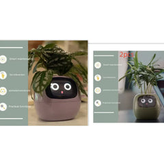 Smart Sensors And AI Chips Make Raising Plants