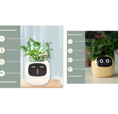 Smart Sensors And AI Chips Make Raising Plants
