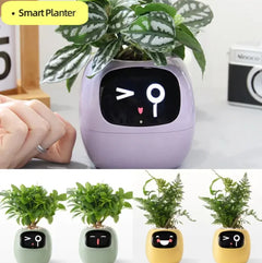 Smart Sensors And AI Chips Make Raising Plants
