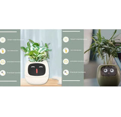Smart Sensors And AI Chips Make Raising Plants