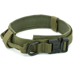 Leather Dog Collar