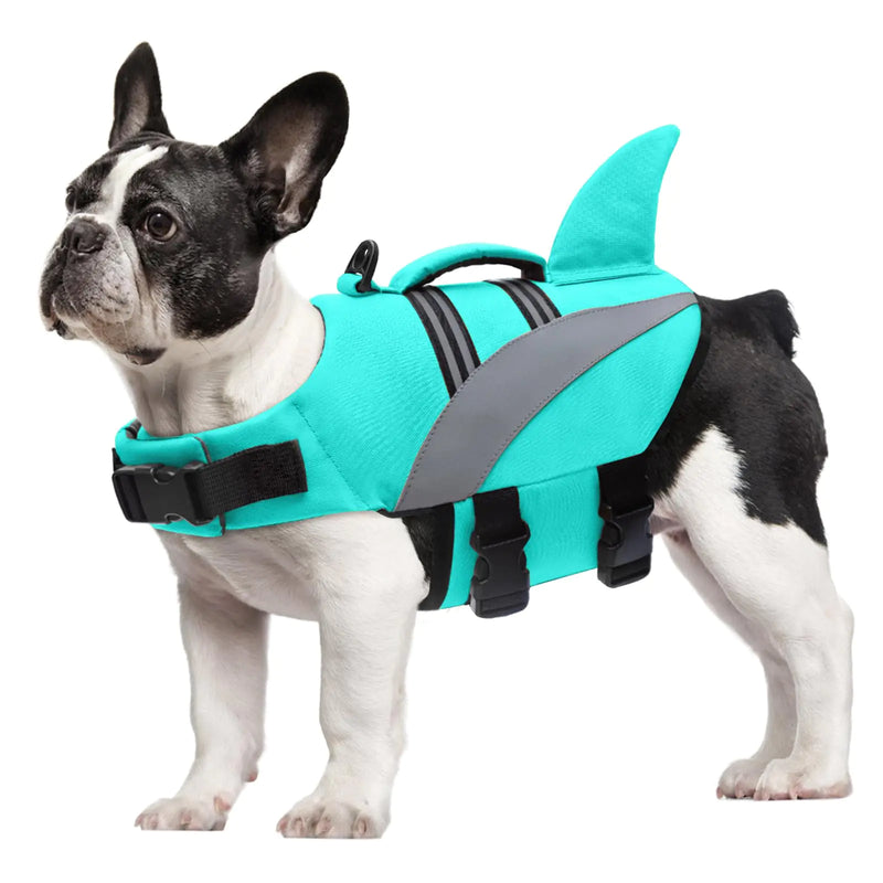 Shark Dog Lifesavers