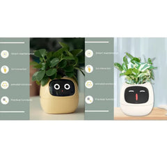 Smart Sensors And AI Chips Make Raising Plants