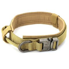 Leather Dog Collar