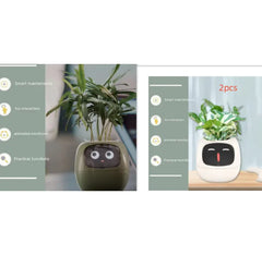 Smart Sensors And AI Chips Make Raising Plants
