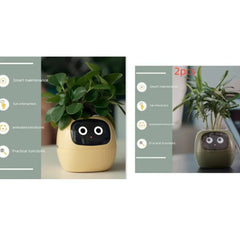Smart Sensors And AI Chips Make Raising Plants