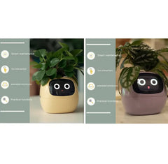 Smart Sensors And AI Chips Make Raising Plants