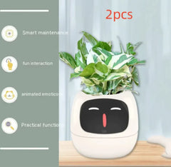 Smart Sensors And AI Chips Make Raising Plants