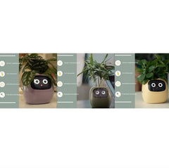 Smart Sensors And AI Chips Make Raising Plants