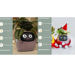 Smart Sensors And AI Chips Make Raising Plants