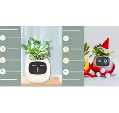 Smart Sensors And AI Chips Make Raising Plants