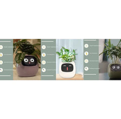 Smart Sensors And AI Chips Make Raising Plants
