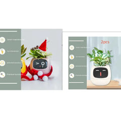 Smart Sensors And AI Chips Make Raising Plants
