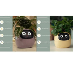 Smart Sensors And AI Chips Make Raising Plants