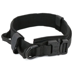 Leather Dog Collar