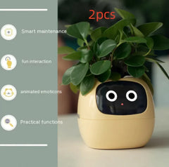 Smart Sensors And AI Chips Make Raising Plants