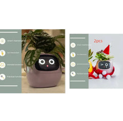 Smart Sensors And AI Chips Make Raising Plants