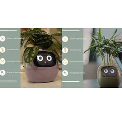 Smart Sensors And AI Chips Make Raising Plants