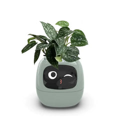 Smart Sensors And AI Chips Make Raising Plants