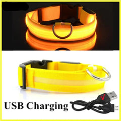 Glowing Dog Collar