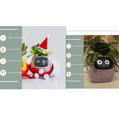Smart Sensors And AI Chips Make Raising Plants