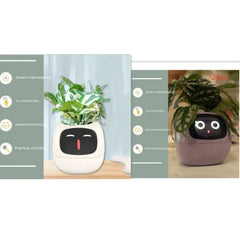 Smart Sensors And AI Chips Make Raising Plants