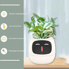 Smart Sensors And AI Chips Make Raising Plants