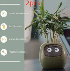 Smart Sensors And AI Chips Make Raising Plants