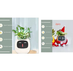 Smart Sensors And AI Chips Make Raising Plants
