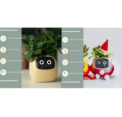 Smart Sensors And AI Chips Make Raising Plants