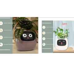 Smart Sensors And AI Chips Make Raising Plants