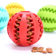 Dog Ball Feeder