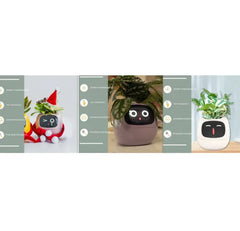 Smart Sensors And AI Chips Make Raising Plants