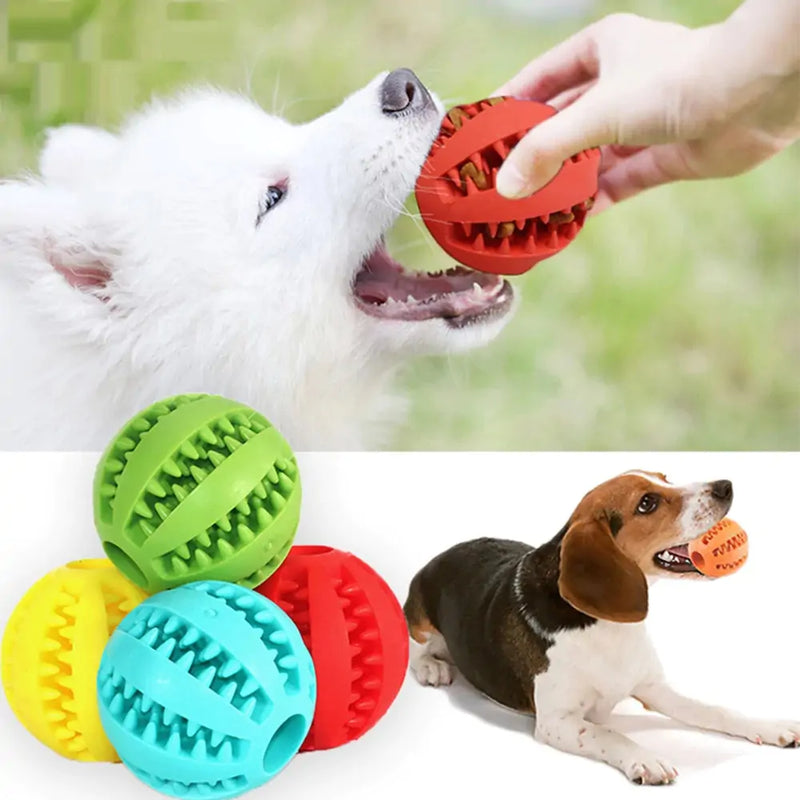 Dog Ball Feeder