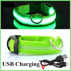 Glowing Dog Collar