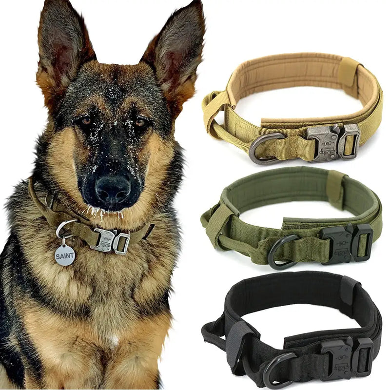 Leather Dog Collar