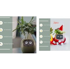 Smart Sensors And AI Chips Make Raising Plants