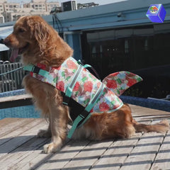 Dog Life Vest Jacket