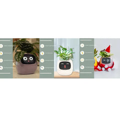 Smart Sensors And AI Chips Make Raising Plants