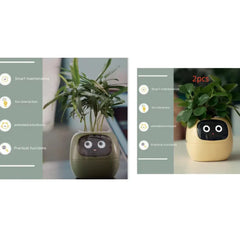 Smart Sensors And AI Chips Make Raising Plants