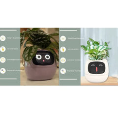 Smart Sensors And AI Chips Make Raising Plants