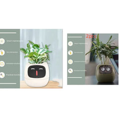 Smart Sensors And AI Chips Make Raising Plants