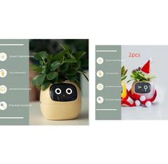 Smart Sensors And AI Chips Make Raising Plants