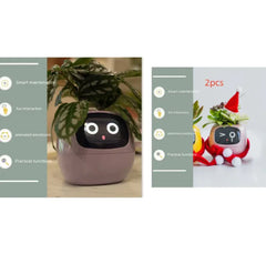 Smart Sensors And AI Chips Make Raising Plants