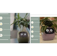 Smart Sensors And AI Chips Make Raising Plants