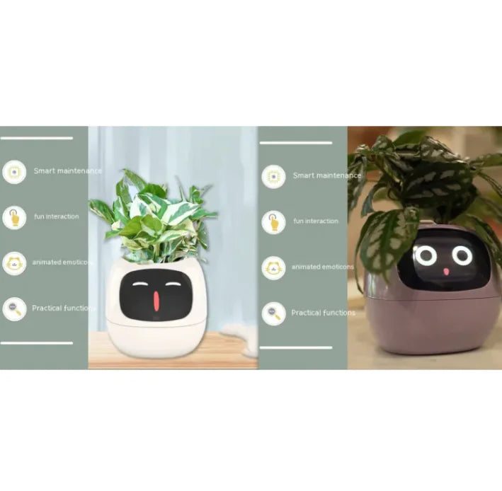 Smart Sensors And AI Chips Make Raising Plants